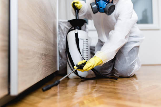 Best Ant Control Services  in Flat Rock, NC