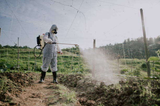 Best Best Pest Control Companies  in Flat Rock, NC