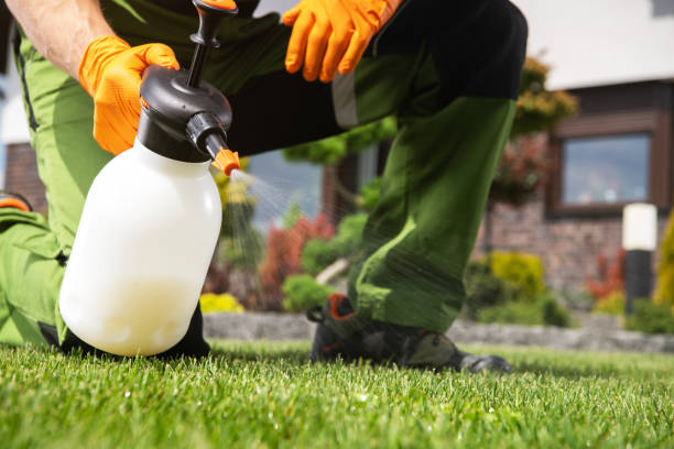 Best Best Pest Control Near Me  in Flat Rock, NC