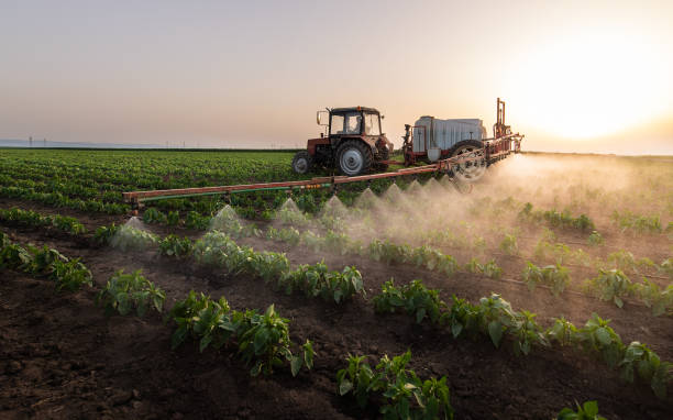 Best Commercial Pest Control Services  in Flat Rock, NC