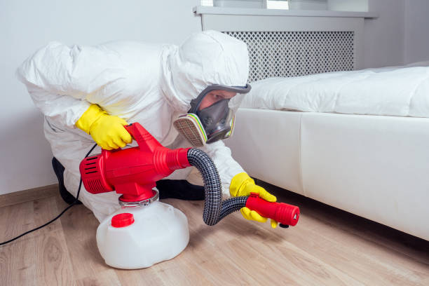  Flat Rock, NC Pest Control Pros