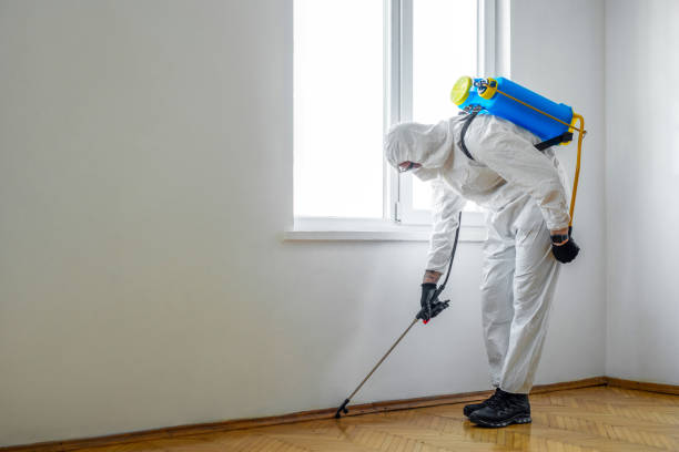 Best Mosquito Control Services  in Flat Rock, NC