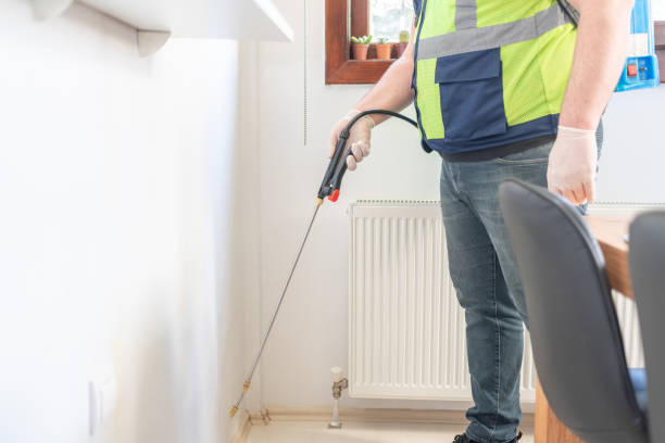 Best Flea Control Services  in Flat Rock, NC