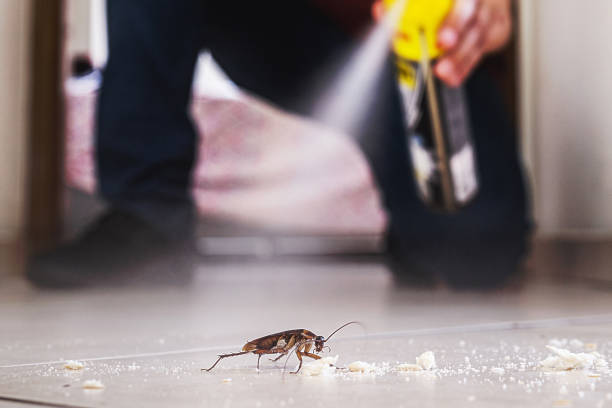 Best Exterminator Services  in Flat Rock, NC